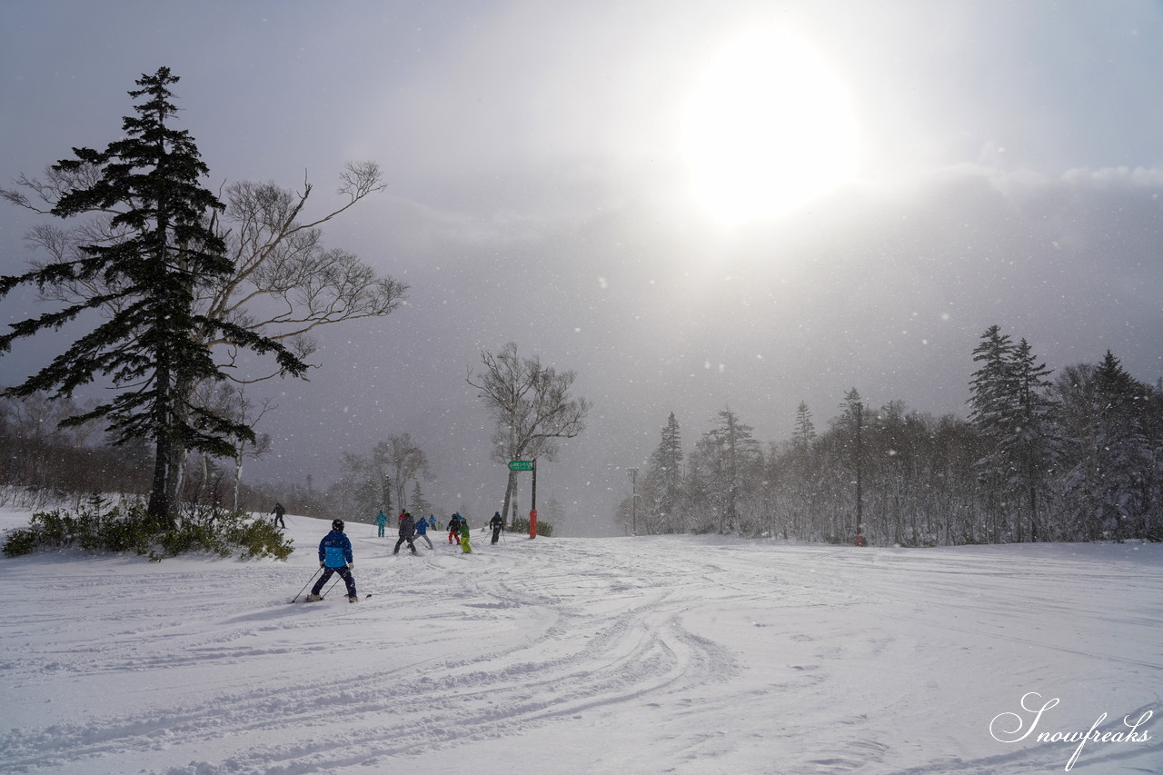 札幌国際スキー場 これぞ北海道。粉雪が降り積もったゲレンデはコンディション良好！そして、早くも全コース滑走可能です(*^^)v